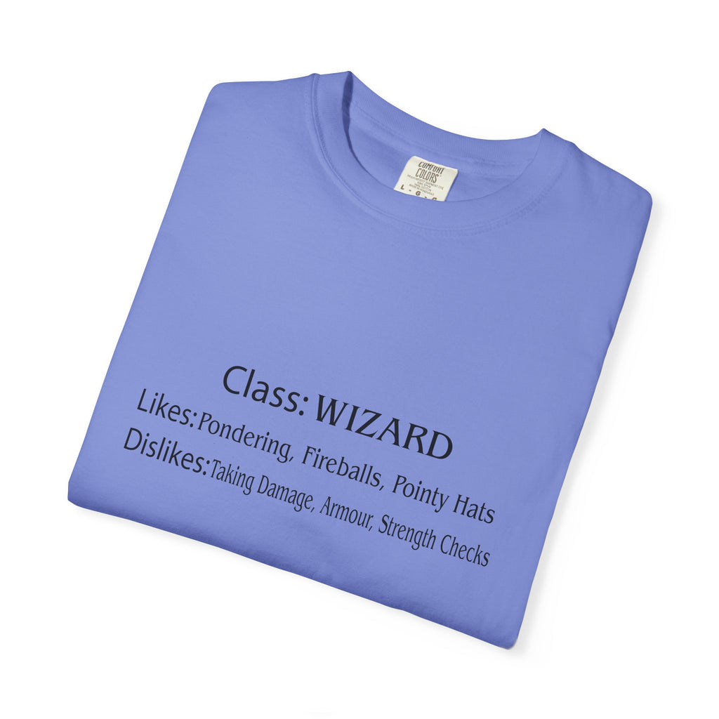 Wizard Class Likes and Dislikes Tee